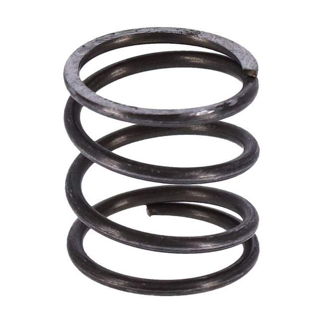 S&S spring, pushrod cover