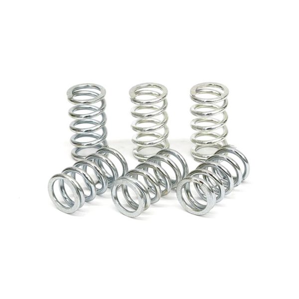 TRW clutch spring kit