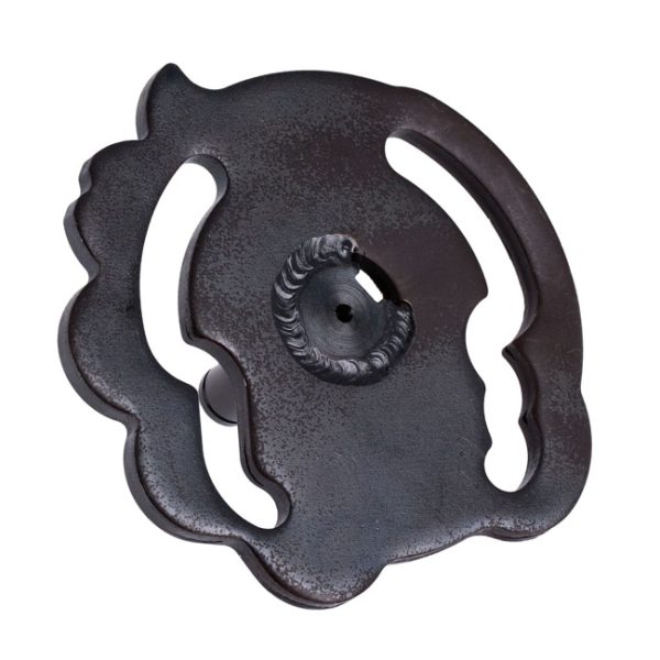 Shifter cam plate