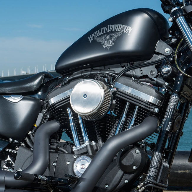 Arlen Ness, Stage 1 Big Sucker air cleaner. Smooth stainless