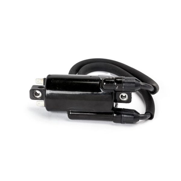 Rick's ignition coil