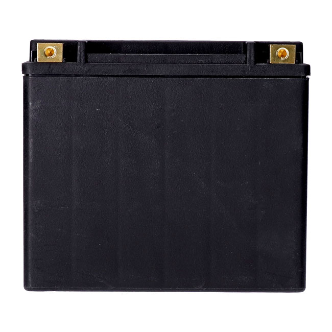 MCS, standard series - AGM sealed battery. 12v, 20ah. 320cca