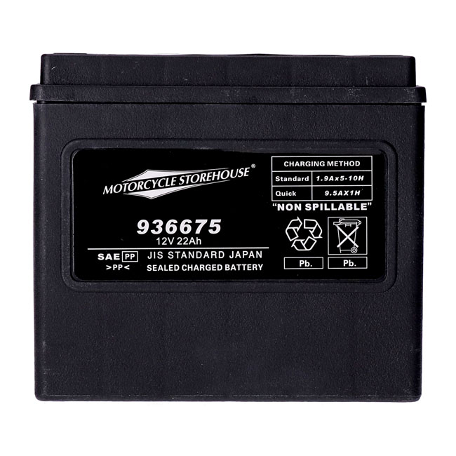 MCS, standard series - AGM sealed battery. 12v, 22ah. 325cca