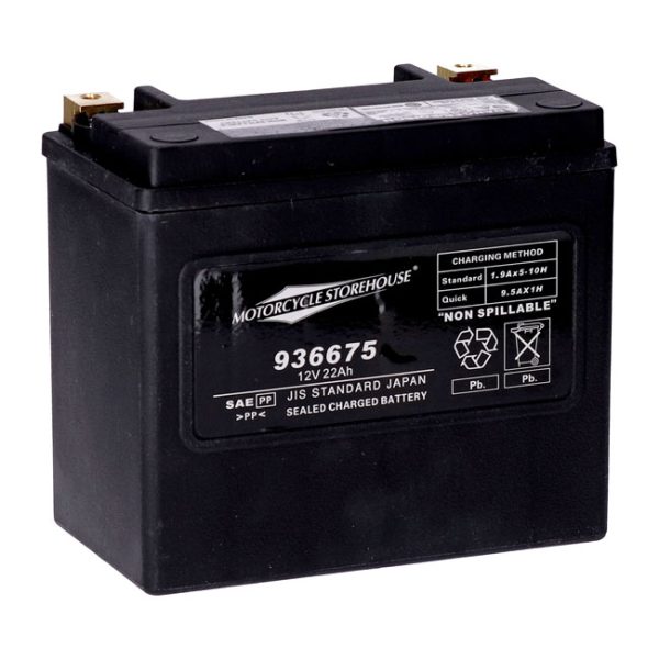 MCS, standard series - AGM sealed battery. 12v, 22ah. 325cca