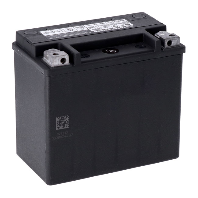 MCS, Advance Series - AGM sealed battery. 12v, 19ah. 325cca