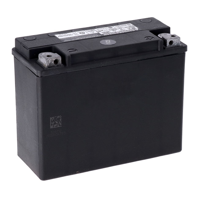 MCS, advance series - AGM sealed battery. 12v, 20ah, 340cca