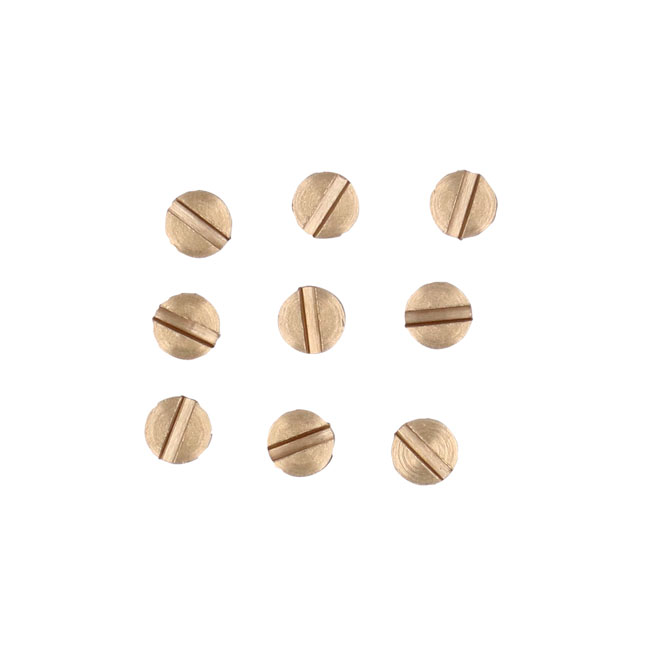 Plug screw, idle passage