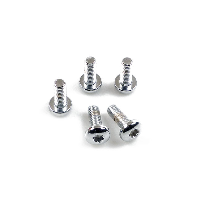 Brake rotor bolt kit, torx